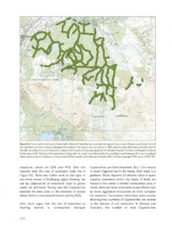 Abernethy Forest -Rode Sales Store 242040 11