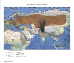 Indian Bird Migration Atlas -Rode Sales Store 242127 2