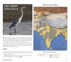 Indian Bird Migration Atlas -Rode Sales Store 242127 5