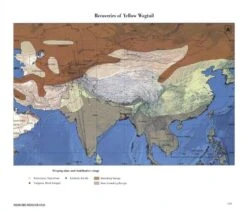 Indian Bird Migration Atlas -Rode Sales Store 242127 7
