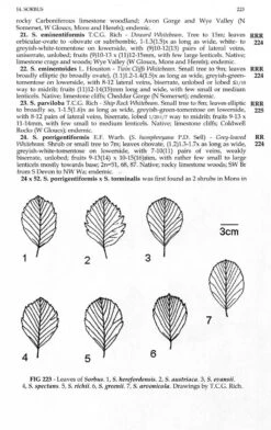New Flora Of The British Isles -Rode Sales Store 243275 3
