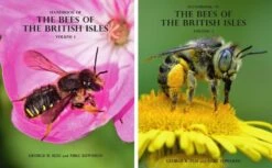 Handbook Of The Bees Of The British Isles (2-Volume Set)