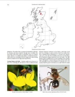 Handbook Of The Bees Of The British Isles (2-Volume Set) -Rode Sales Store 243397 6