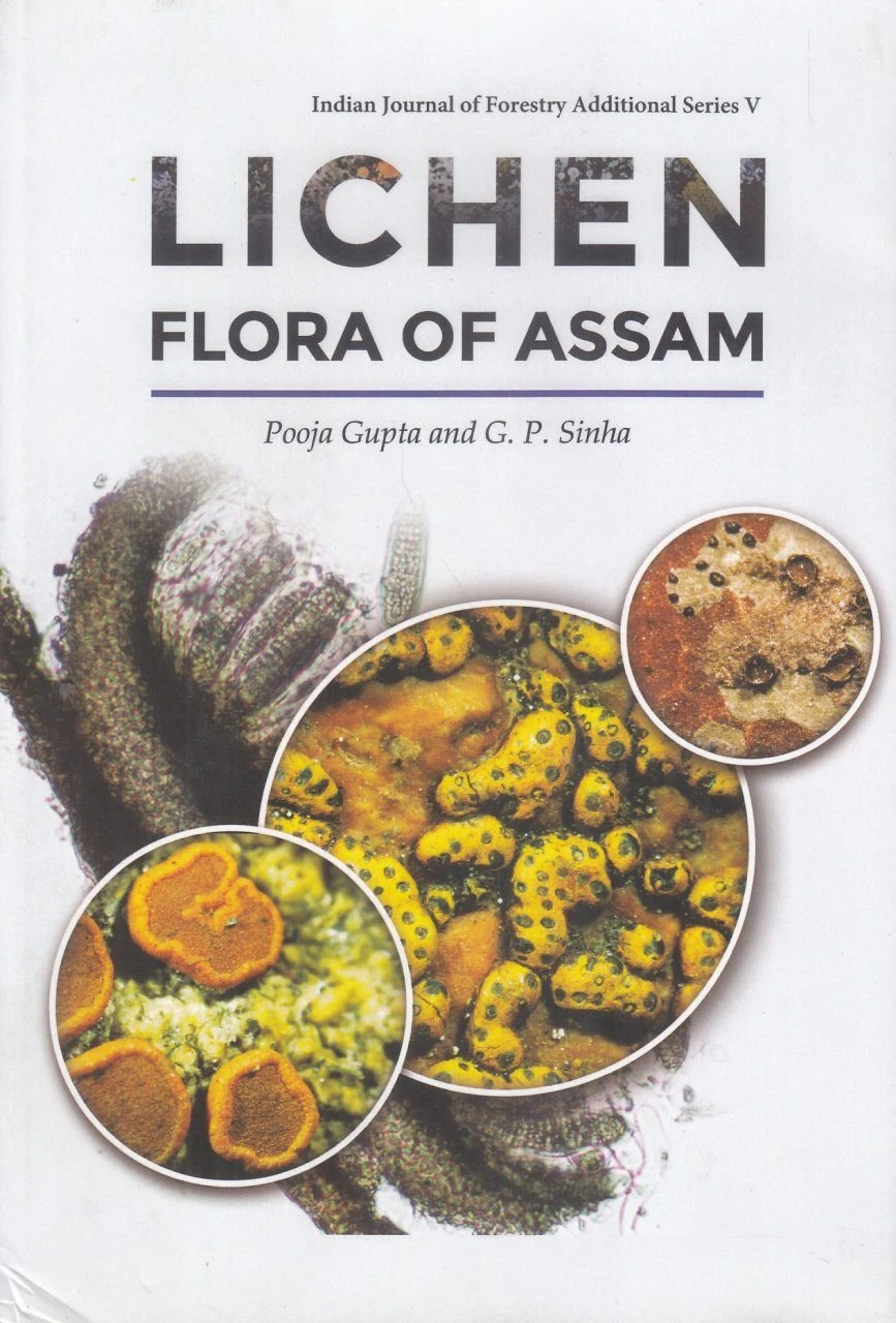 Lichen Flora Of Assam 1 Lichen Flora Of Assam