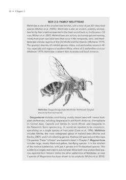 The Solitary Bees -Rode Sales Store 244919 05