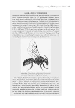 The Solitary Bees -Rode Sales Store 244919 06