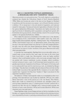 The Solitary Bees -Rode Sales Store 244919 12