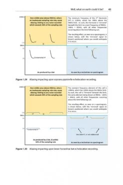 Is That A Bat? -Rode Sales Store 245066 02