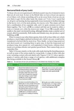 Is That A Bat? -Rode Sales Store 245066 04