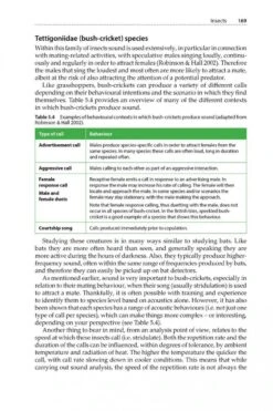 Is That A Bat? -Rode Sales Store 245066 07