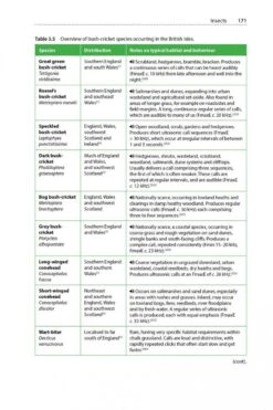 Is That A Bat? -Rode Sales Store 245066 08