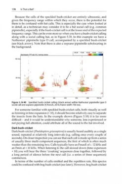 Is That A Bat? -Rode Sales Store 245066 09