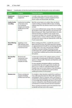 Is That A Bat? -Rode Sales Store 245066 10