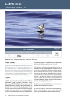 Atlas Des Oiseaux Marins Et Cétacés Du Sud Gascogne: De L'Estuaire De La Gironde à La Bidassoa [Atlas Of Seabirds And Cetaceans Of Southern Gascony: From The Estuary Of Gironde To Bidasoa] -Rode Sales Store 245210 05