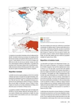 Atlas Des Oiseaux Marins Et Cétacés Du Sud Gascogne: De L'Estuaire De La Gironde à La Bidassoa [Atlas Of Seabirds And Cetaceans Of Southern Gascony: From The Estuary Of Gironde To Bidasoa] -Rode Sales Store 245210 06