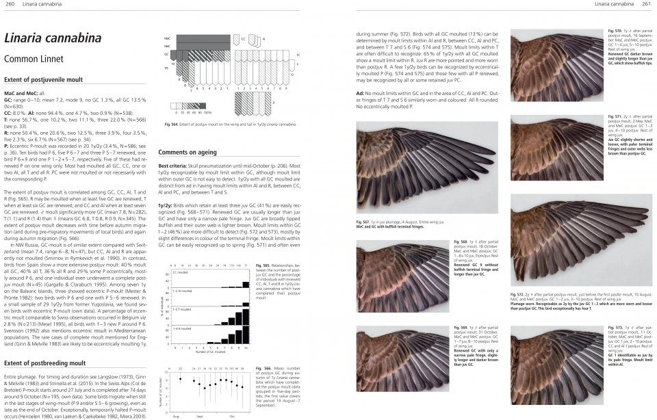 Moult And Ageing Of European Passerines 6 Moult And Ageing Of European Passerines - Image 6