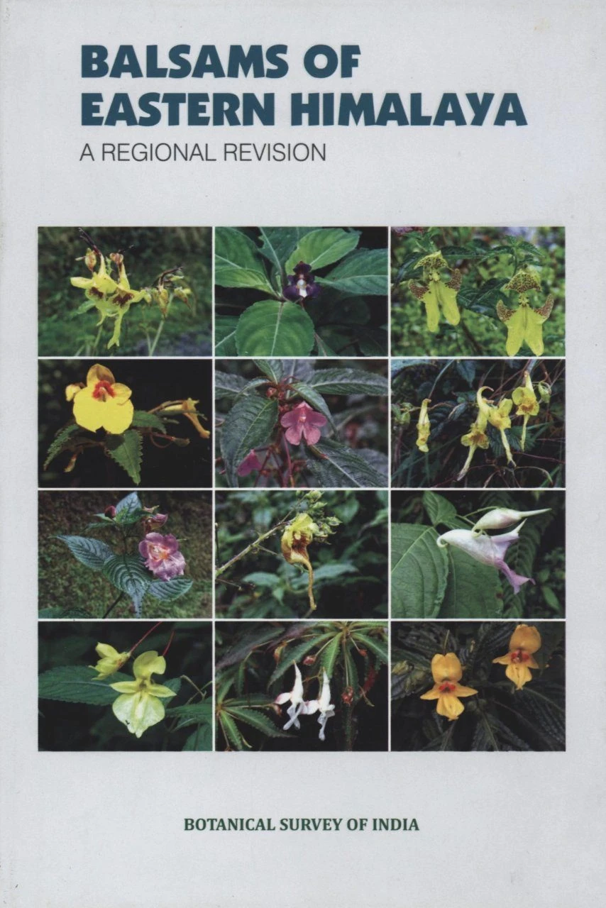 Balsams Of Eastern Himalaya 1 Balsams Of Eastern Himalaya