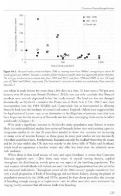 The Common Buzzard -Rode Sales Store 247013 5