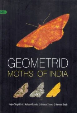 Geometrid Moths Of India