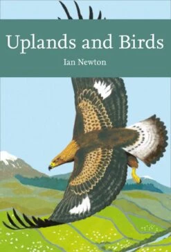 Uplands And Birds