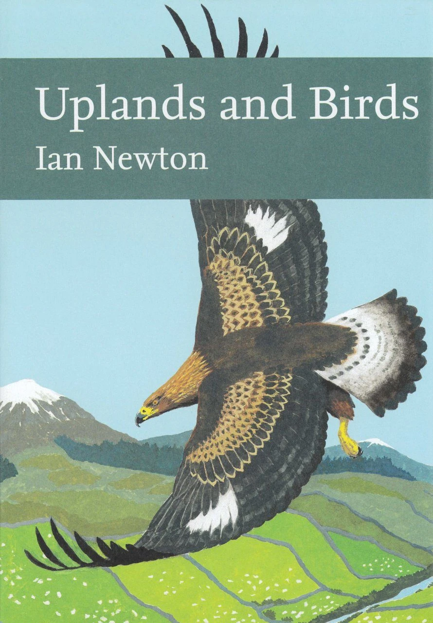 Uplands And Birds 2 Uplands And Birds - Image 2