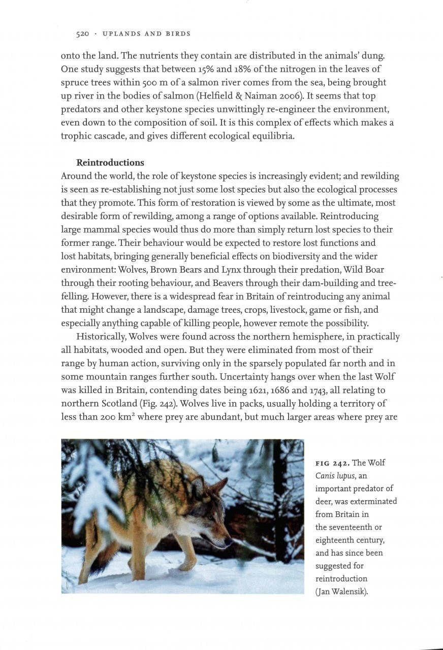 Uplands And Birds 6 Uplands And Birds - Image 6