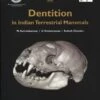 Dentition In Indian Terrestrial Mammals