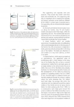 The Biology Of Moult In Birds -Rode Sales Store 249029 3