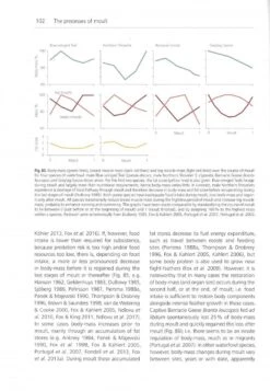 The Biology Of Moult In Birds -Rode Sales Store 249029 4