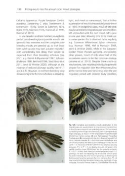 The Biology Of Moult In Birds -Rode Sales Store 249029 6