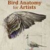 Bird Anatomy For Artists