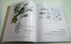 Bird Anatomy For Artists -Rode Sales Store 249582 04