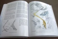 Bird Anatomy For Artists -Rode Sales Store 249582 09