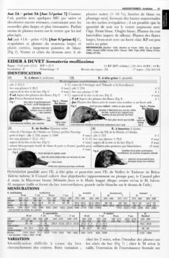 Guide D'Identification Des Oiseaux En Main: Les 305 Espèces Les Plus Baguées En Europe De L'Ouest, Non-Passereaux Et Passereaux -Rode Sales Store 249696 4