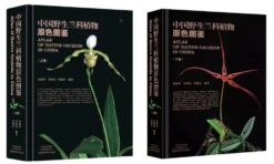 Atlas Of Native Orchids In China (2-Volume Set) [Chinese]