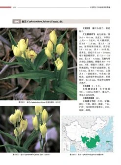 Atlas Of Native Orchids In China (2-Volume Set) [Chinese] -Rode Sales Store 249761 3