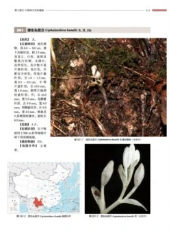 Atlas Of Native Orchids In China (2-Volume Set) [Chinese] -Rode Sales Store 249761 4