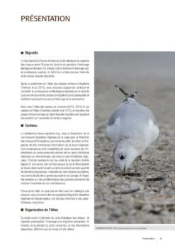 Atlas Des Oiseaux Migrateurs Et Hivernants D'Aquitaine: Dordogne, Gironde, Landes, Lot-et-Garonne, Pyrénéés-Atlantiques [Atlas Of Migratory And Wintering Birds Of Aquitaine] -Rode Sales Store 250288 02