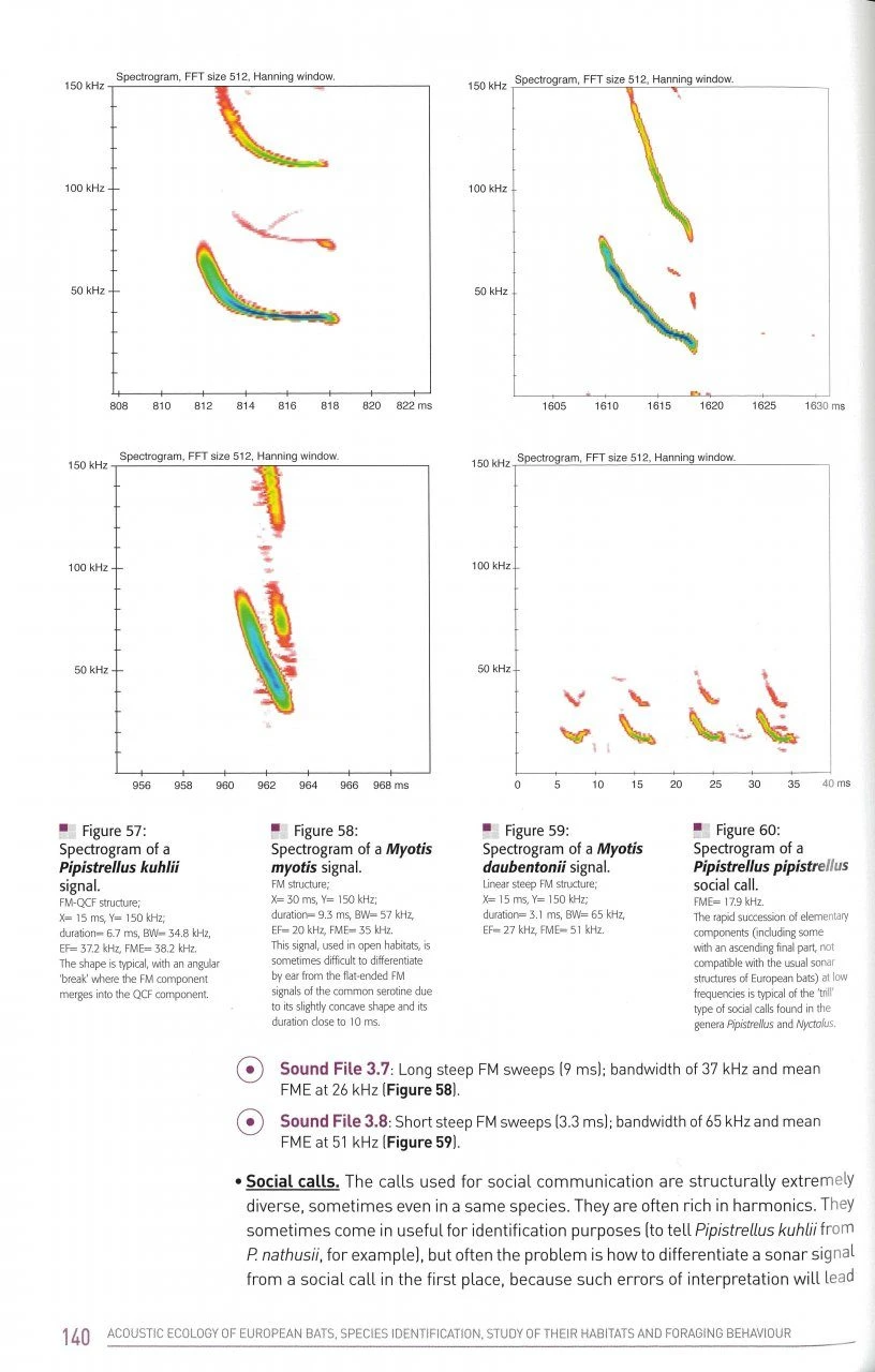 Acoustic Ecology Of European Bats 2 Acoustic Ecology Of European Bats - Image 2
