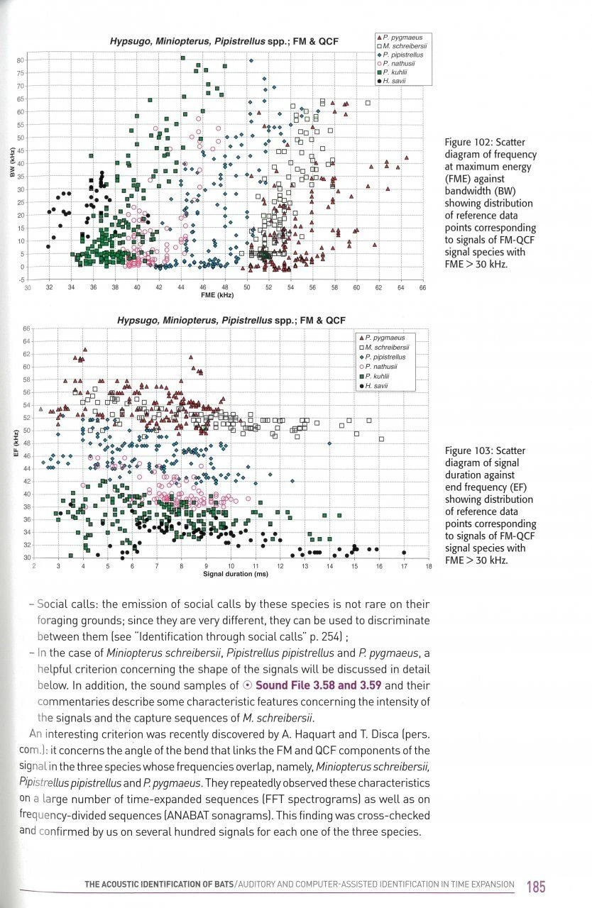 Acoustic Ecology Of European Bats 3 Acoustic Ecology Of European Bats - Image 3