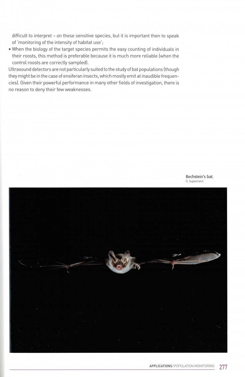 Acoustic Ecology Of European Bats 4 Acoustic Ecology Of European Bats - Image 4
