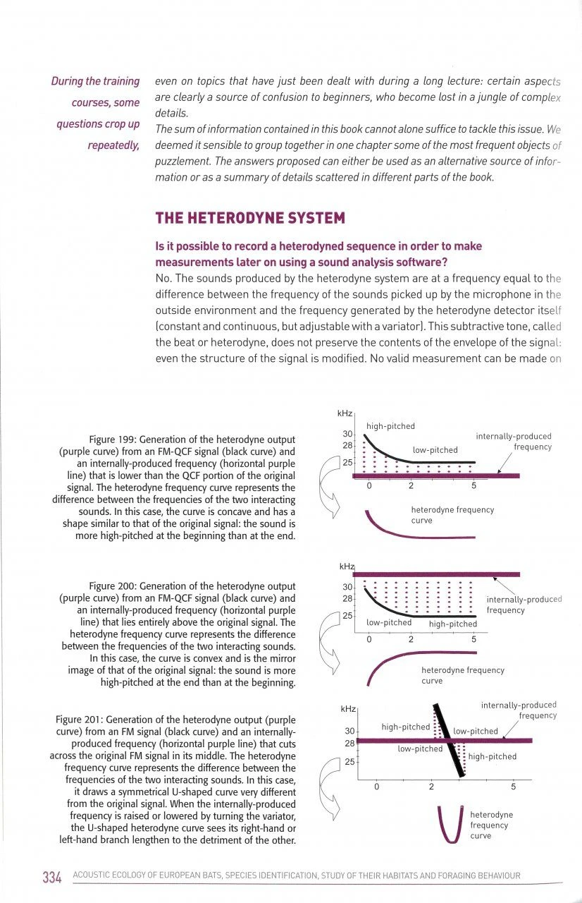Acoustic Ecology Of European Bats 5 Acoustic Ecology Of European Bats - Image 5
