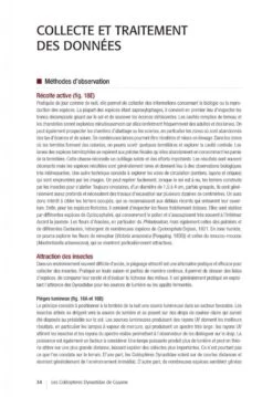 Les Coléoptères Dynastidae De Guyane: Coleoptera, Scarabaeoidea [The Dynastidae Beetles Of Guyana] -Rode Sales Store 250654 07