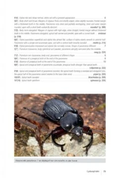 Les Coléoptères Dynastidae De Guyane: Coleoptera, Scarabaeoidea [The Dynastidae Beetles Of Guyana] -Rode Sales Store 250654 14
