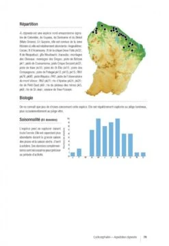 Les Coléoptères Dynastidae De Guyane: Coleoptera, Scarabaeoidea [The Dynastidae Beetles Of Guyana] -Rode Sales Store 250654 16