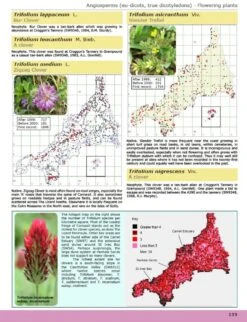 A Flora Of Cornwall -Rode Sales Store 250660 2