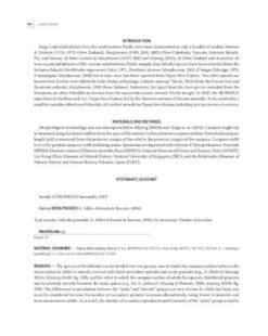 Tropical Deep-Sea Benthos, Volume 31 -Rode Sales Store 250704 03