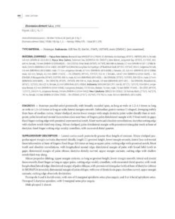 Tropical Deep-Sea Benthos, Volume 31 -Rode Sales Store 250704 11