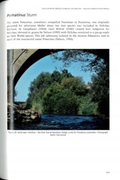 Atlas Of Water Beetles Of Britain And Ireland – Smaller Families Of Polyphaga -Rode Sales Store 250830 3