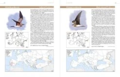 European Breeding Bird Atlas 2 -Rode Sales Store 250838 2